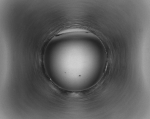 X0000116110566200911231148