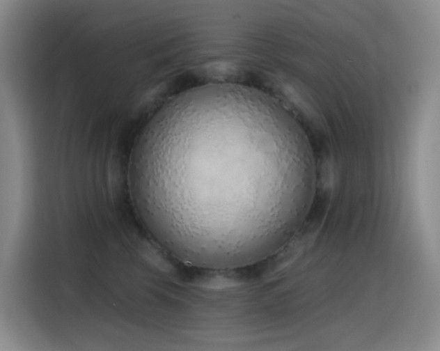 X0000116110569200911231148