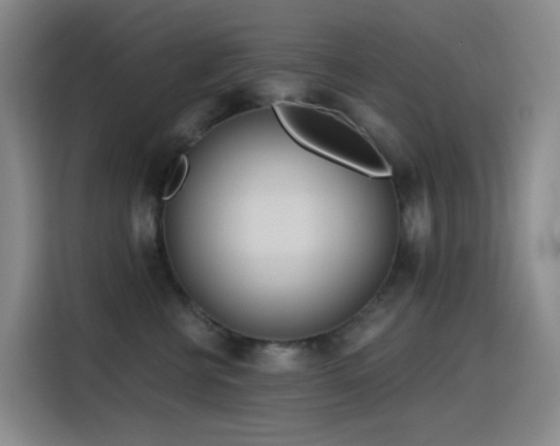 X0000116110570200911231148