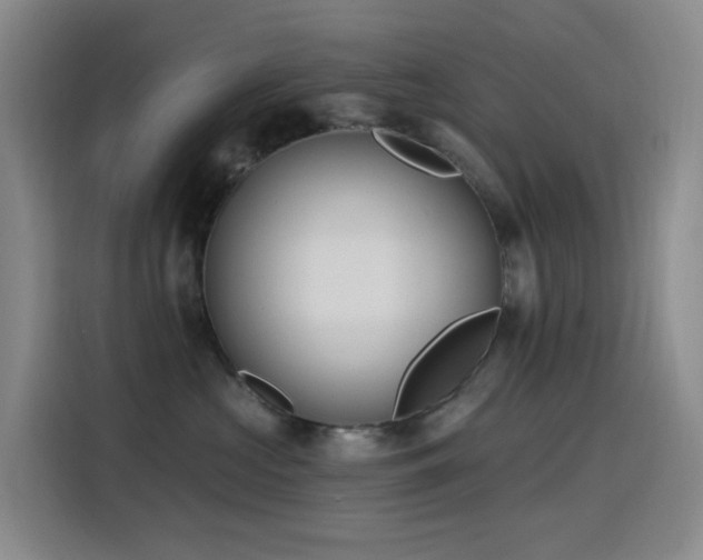 X0000116110573200911231148