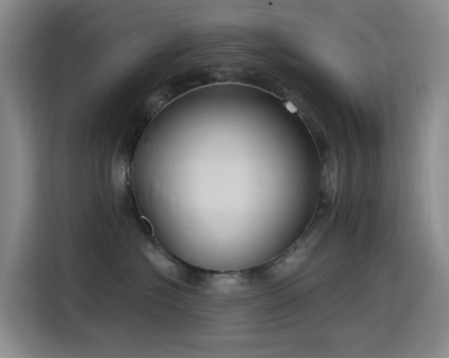 X0000116110574200911231148