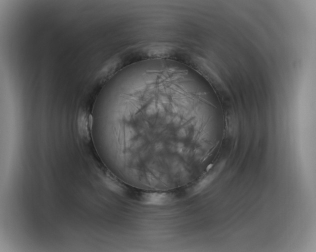 X0000116110575200911231148