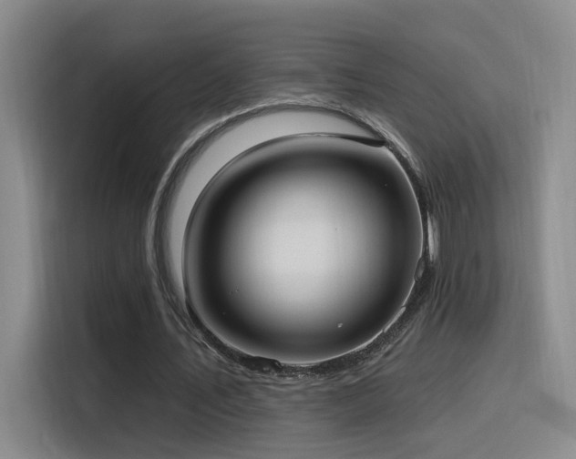 X0000116110579200911231147