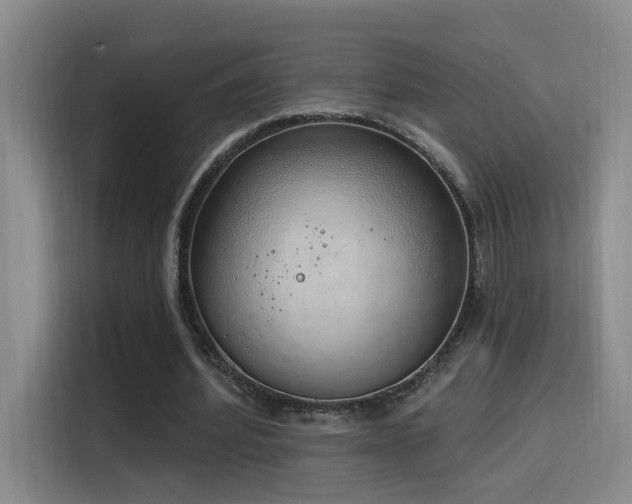 X0000116110580200911231147