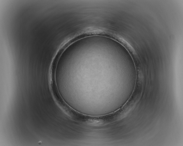 X0000116110582200911231147