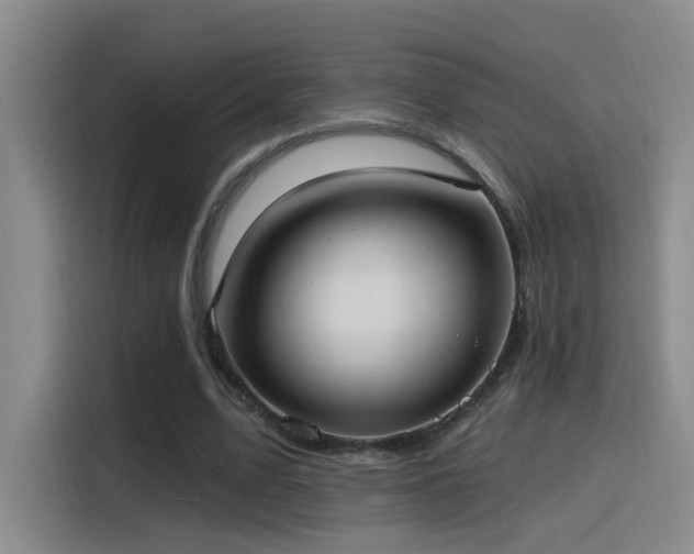 X0000116110583200911231147