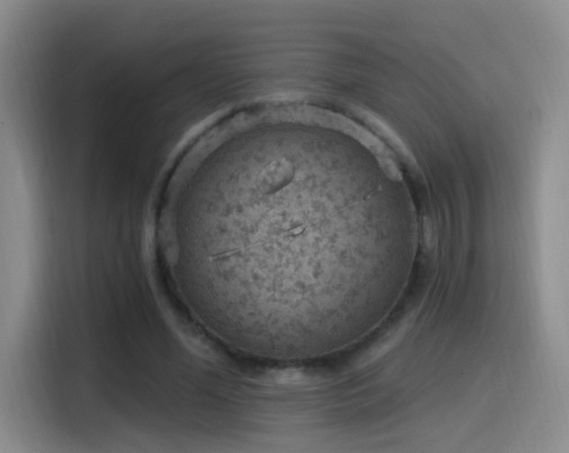 X0000116110588200911231147