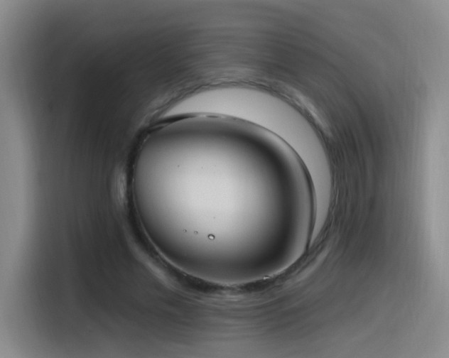 X0000116110589200911231147