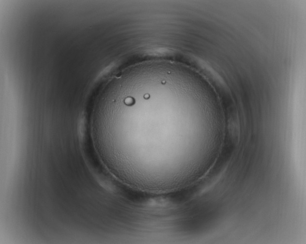 X0000116110591200911231147