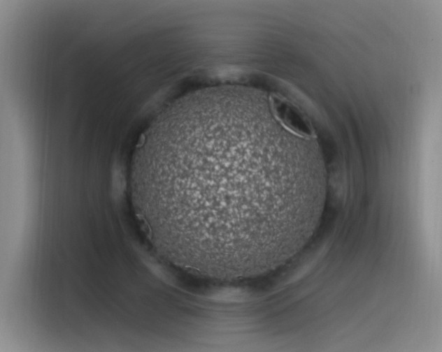 X0000116110593200911231147