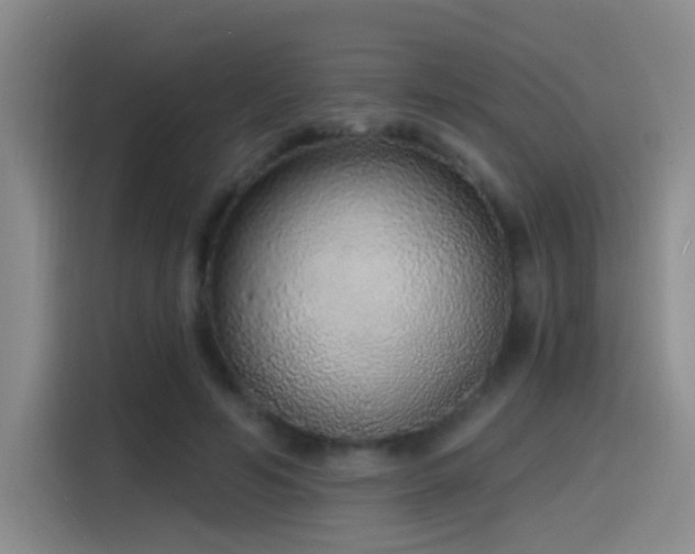 X0000116110594200911231147