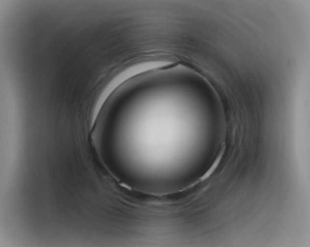 X0000116110595200911231147