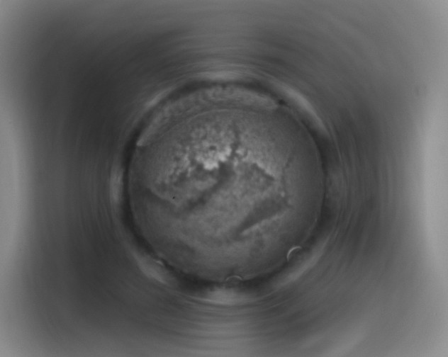 X0000116110596200911231147