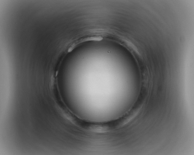 X0000116110597200911231147