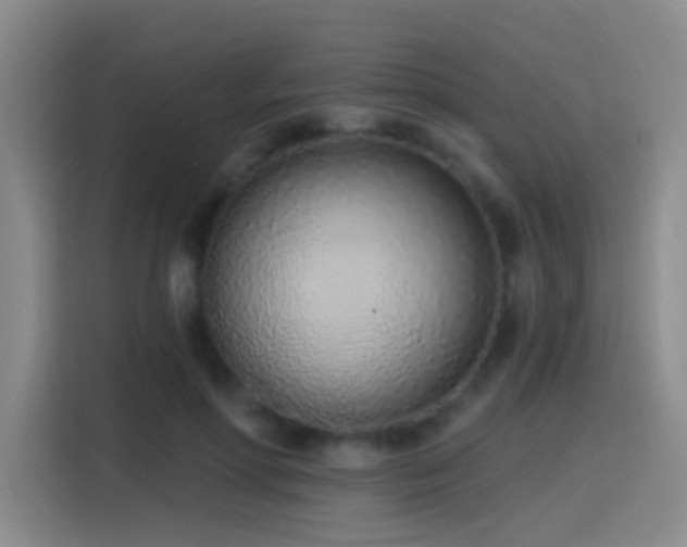 X0000116110598200911231147