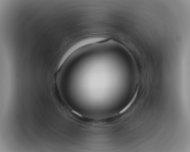 X0000116110599200911231147