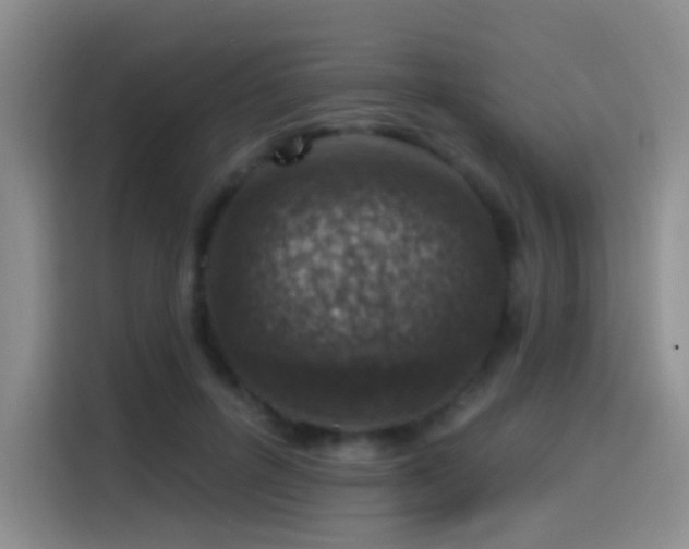 X0000116110600200911231147