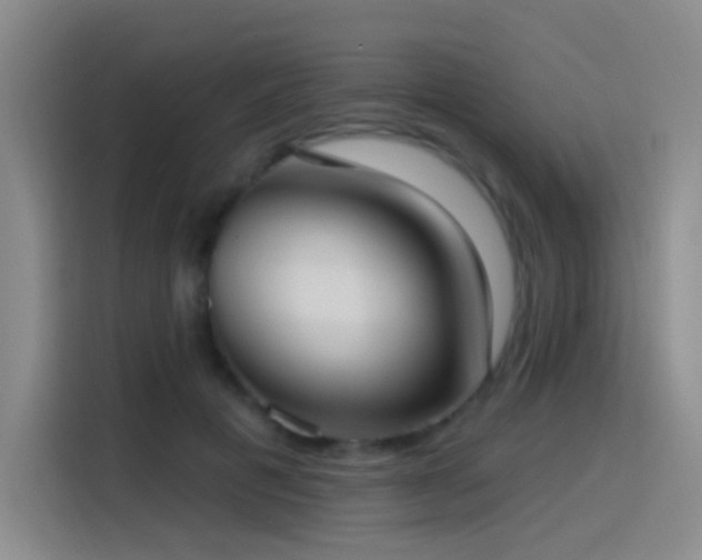 X0000116110601200911231147