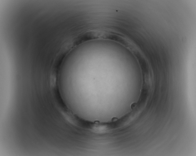 X0000116110602200911231147