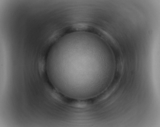 X0000116110604200911231147