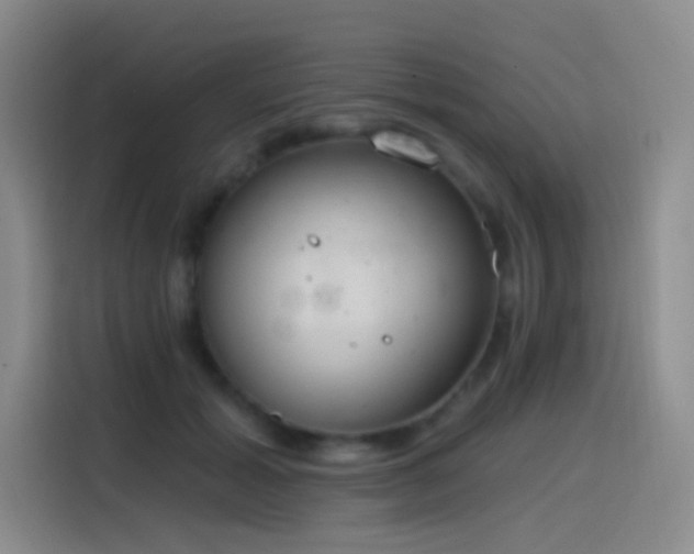 X0000116110605200911231147