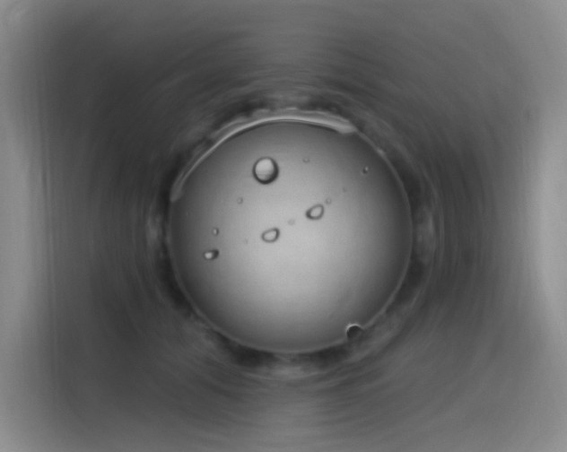 X0000116110608200911231147