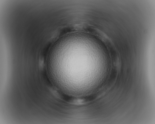 X0000116110610200911231147