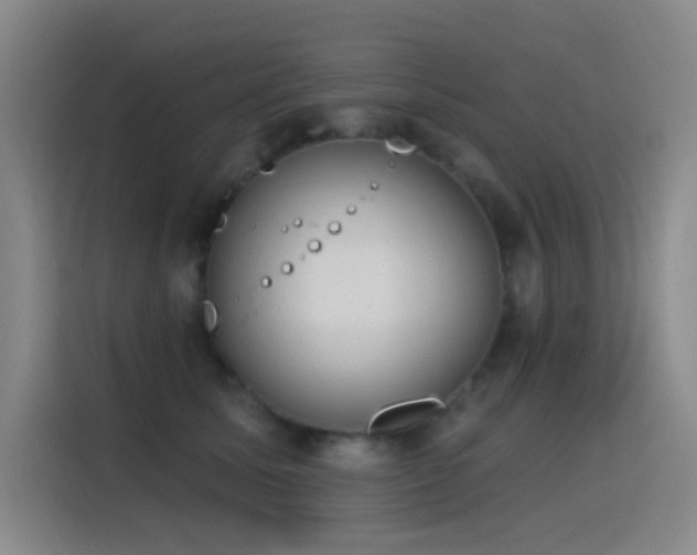 X0000116110611200911231147