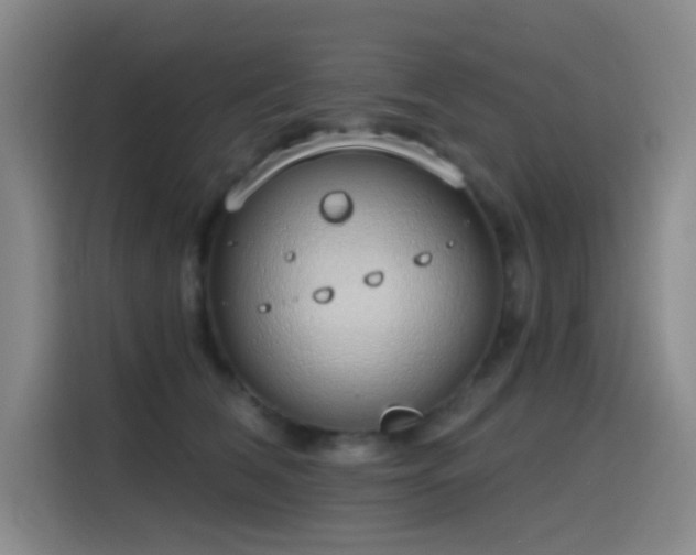 X0000116110612200911231147