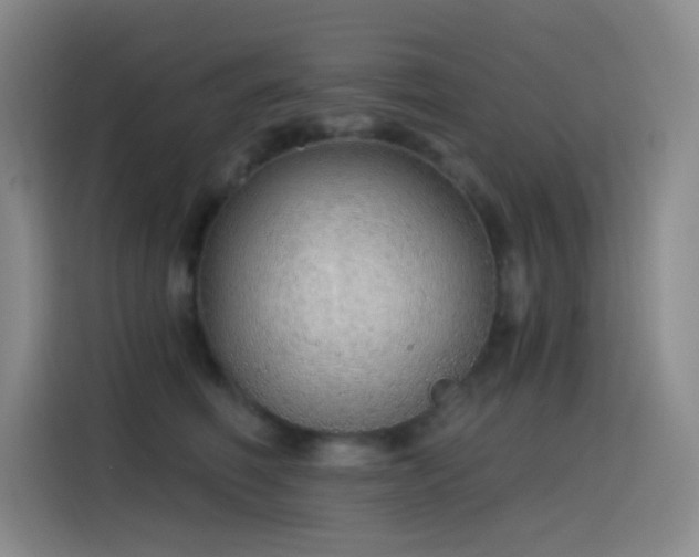 X0000116110614200911231147