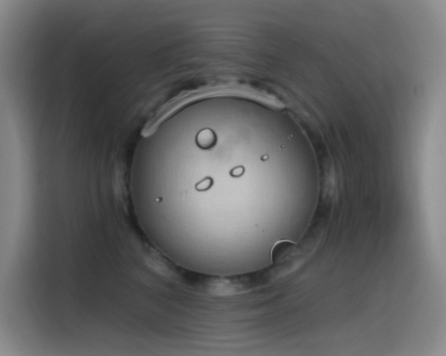 X0000116110616200911231147