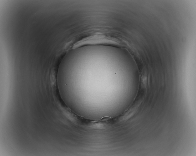 X0000116110620200911231147