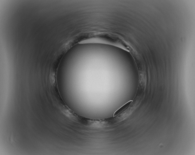 X0000116110621200911231147