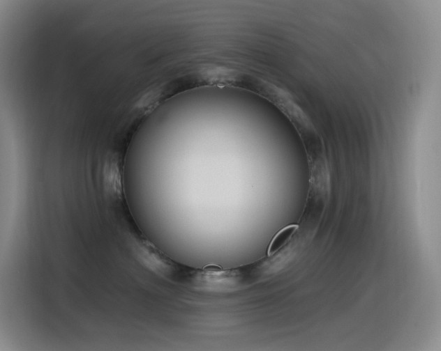 X0000116110622200911231147