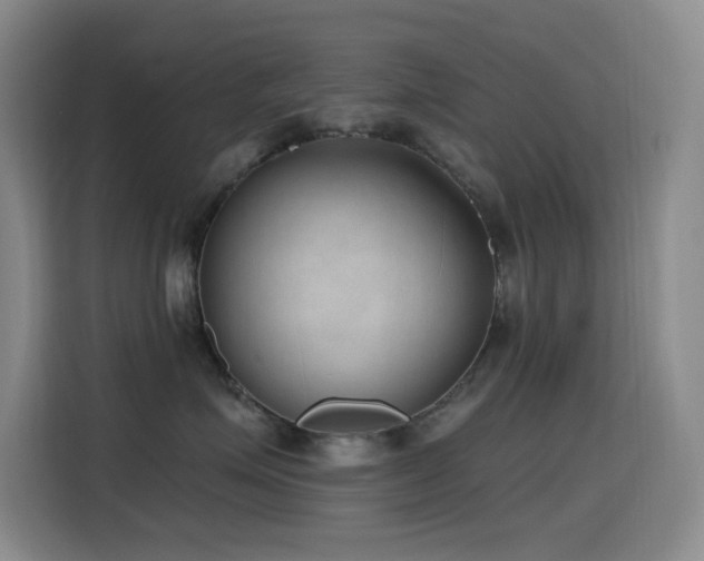 X0000116110623200911231147