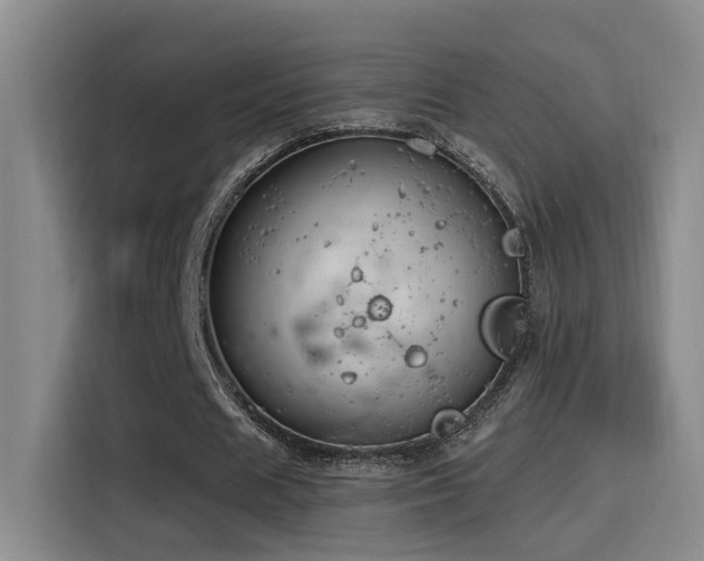 X0000116110625200911231146