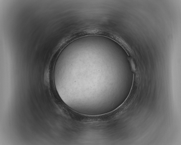 X0000116110626200911231146