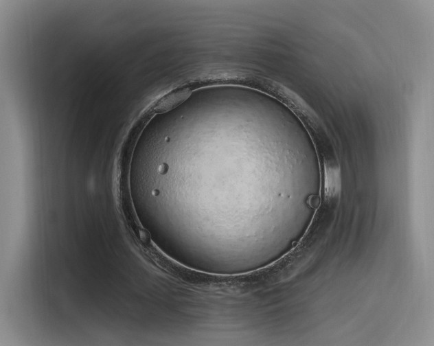 X0000116110627200911231146