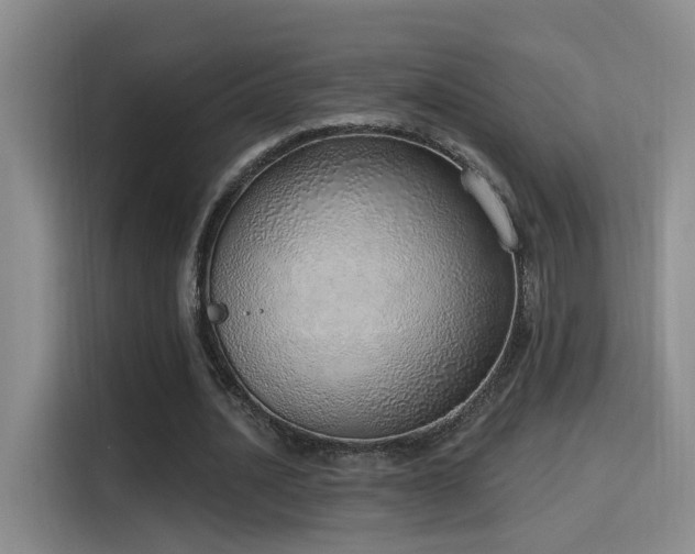 X0000116110628200911231146