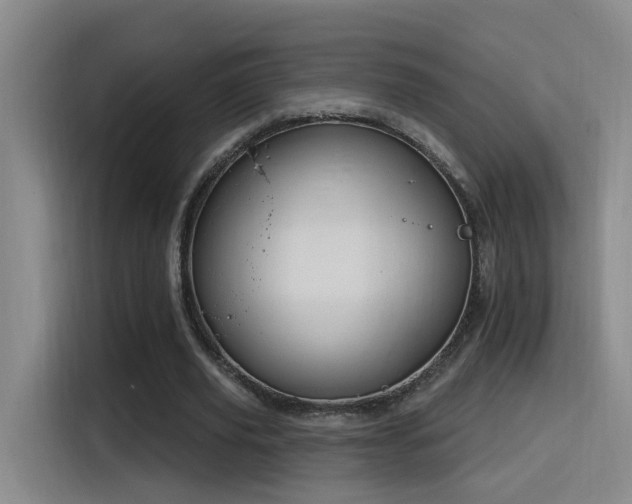 X0000116110629200911231146