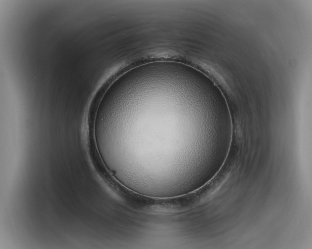 X0000116110630200911231146