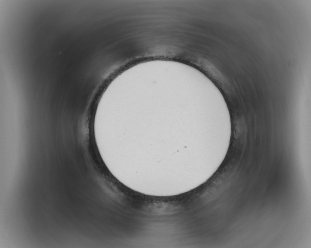 X0000116110632200911231146