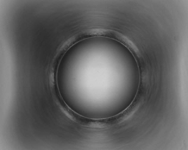 X0000116110633200911231146