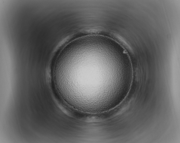 X0000116110634200911231146