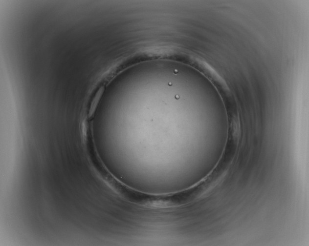 X0000116110637200911231146