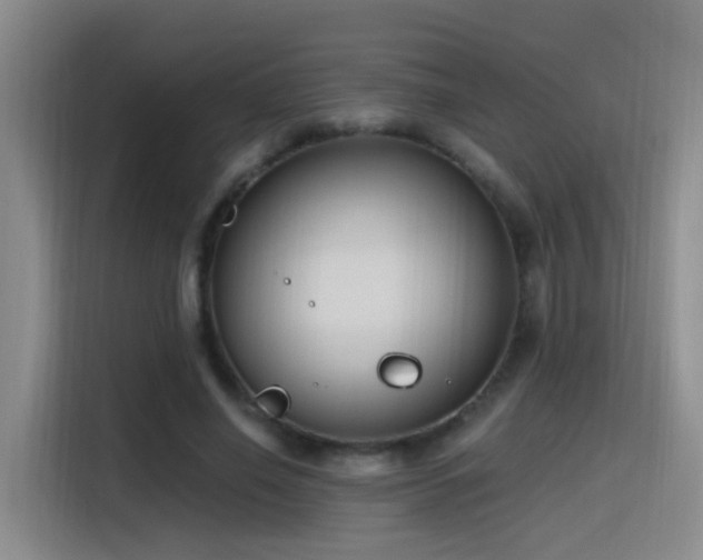 X0000116110638200911231146