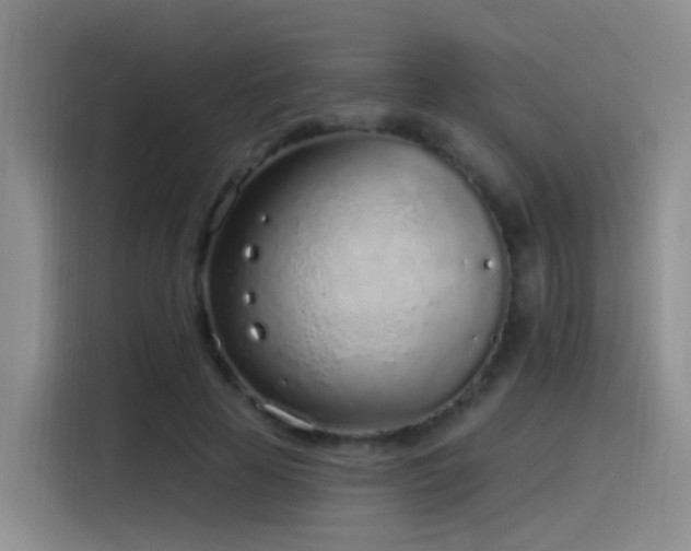 X0000116110641200911231146