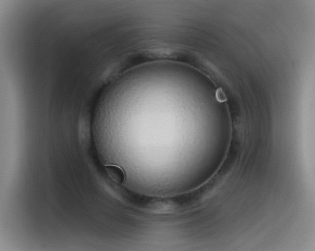 X0000116110642200911231146