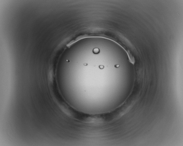 X0000116110644200911231146