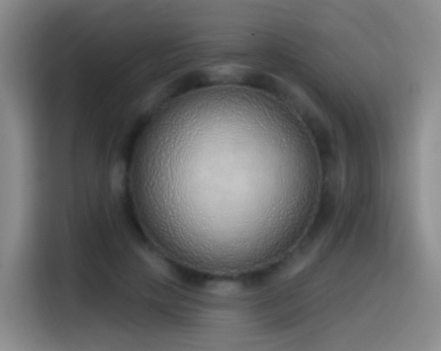 X0000116110649200911231146